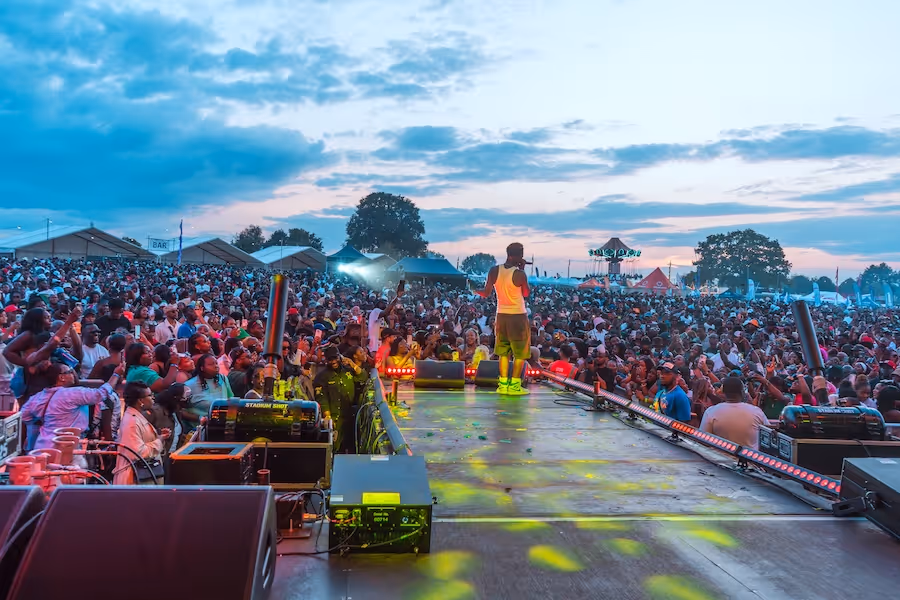 Crowd at ZimFest Live in London