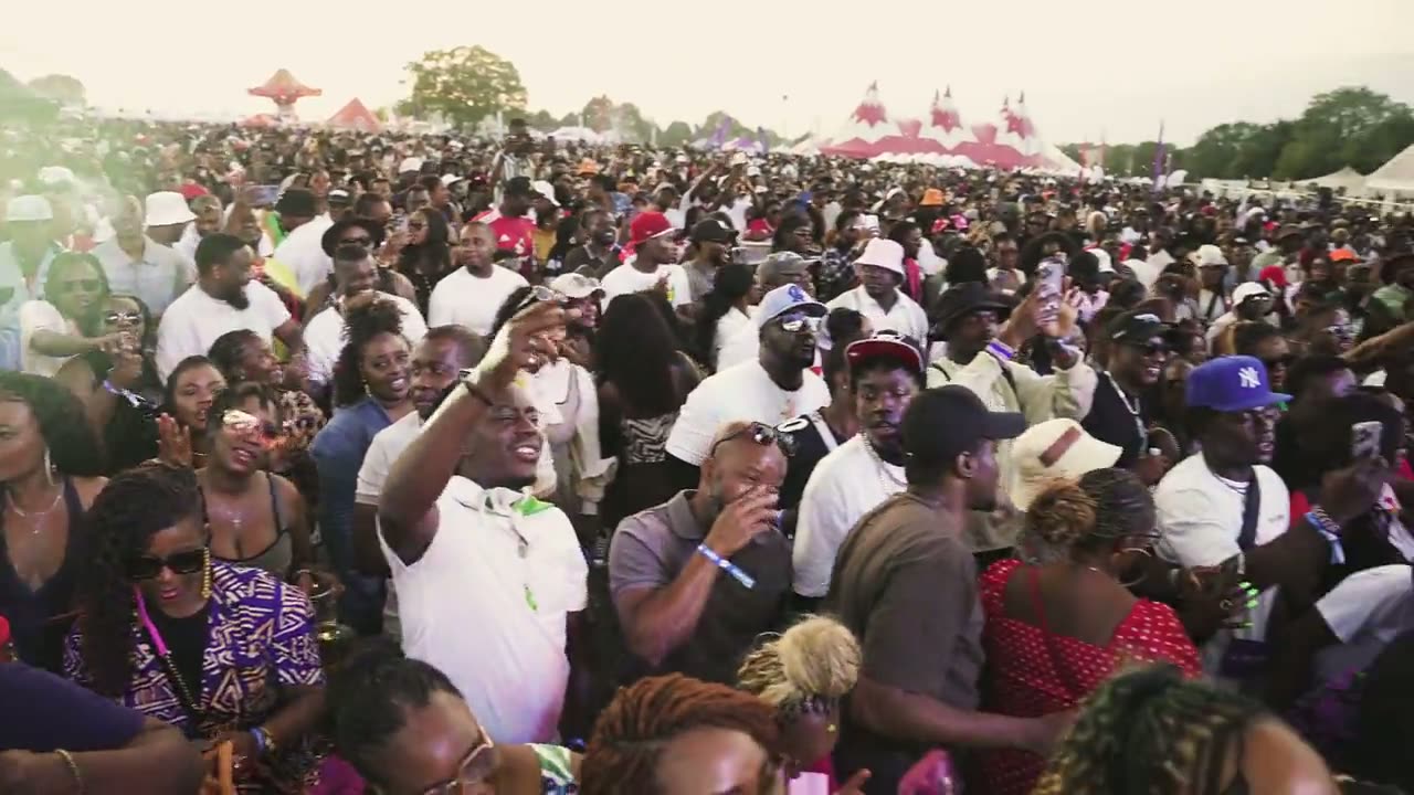 ZimFest Live: crowd footage from the biggest Zimbabwean gathering in Britain.